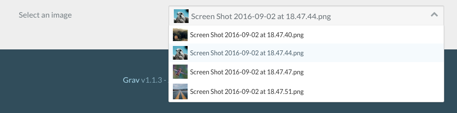 Filepicker Field